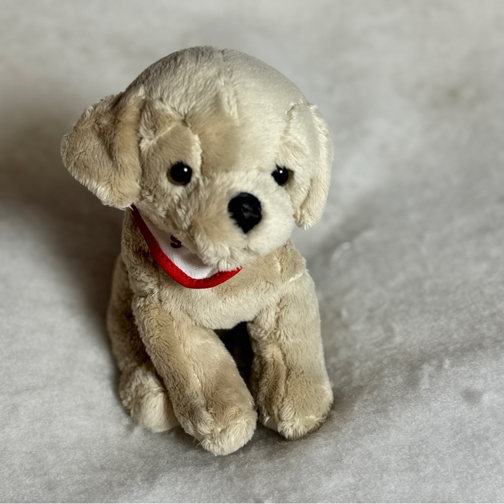 Tan Plush Cute Puppy Dog with Sheels Sporting Good‎ Store Bandana Accessory